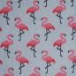 Preview: Beschichtete Baumwolle Flamingos auf hellgrau