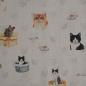 Preview: Baumwollstoff Motivdruck Katzenköpfe Katzensachen hell