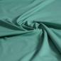 Preview: Singlejersey uni aus Baumwolle pistaziengrün - Bio