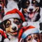 Preview: French Terry Weihnachtshunde Digitaldruck