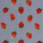 Preview: Baumwolljersey Erdbeeren Obst grau