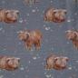 Preview: Baumwolljersey Bison grau – FVJ