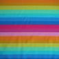 Preview: Baumwolljersey Regenbogenringel von Susalabim bunt – Bio