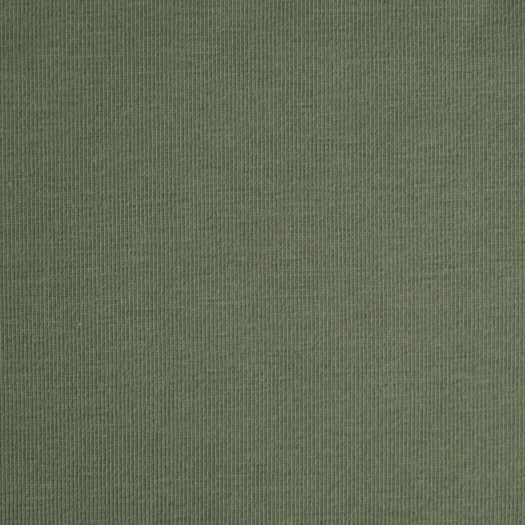 Singlejersey uni aus Baumwolle salbei - Bio