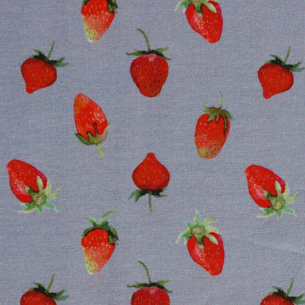 Baumwolljersey Erdbeeren Obst grau