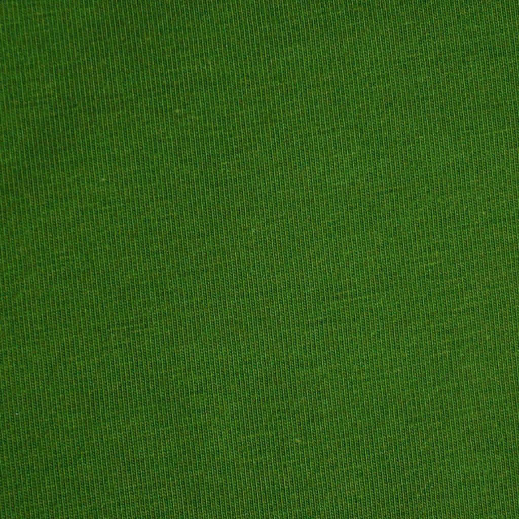 Singlejersey uni aus Baumwolle grasgrün - Bio