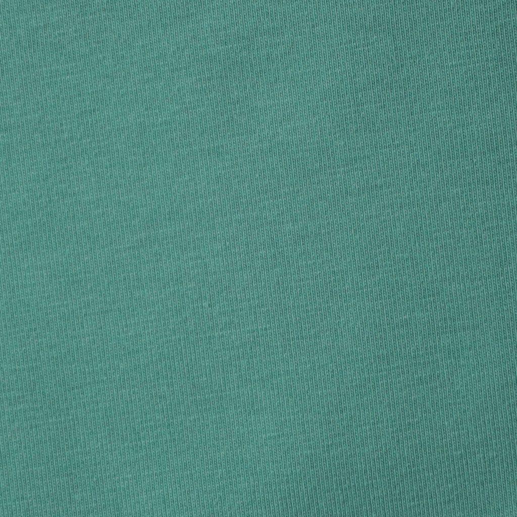 Singlejersey uni aus Baumwolle pistaziengrün - Bio