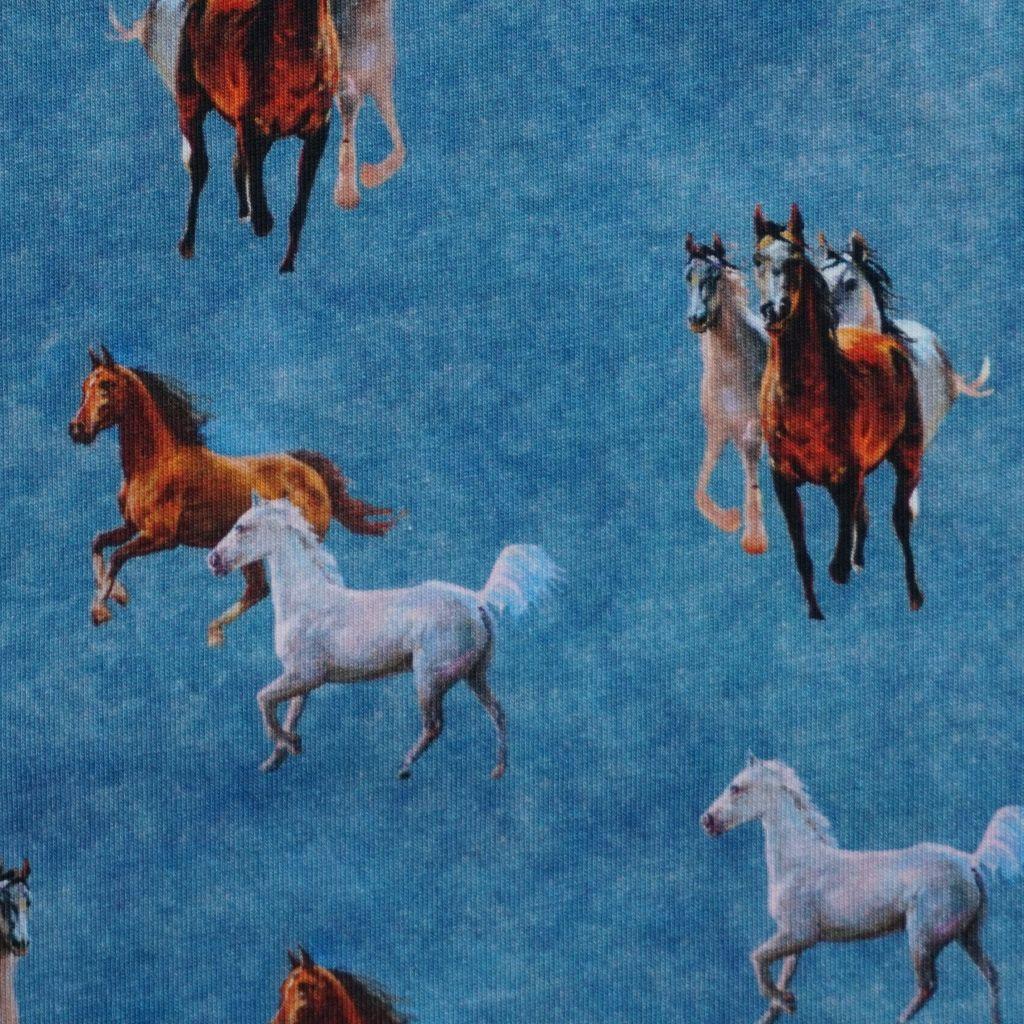 Baumwolljersey Wildpferde blau